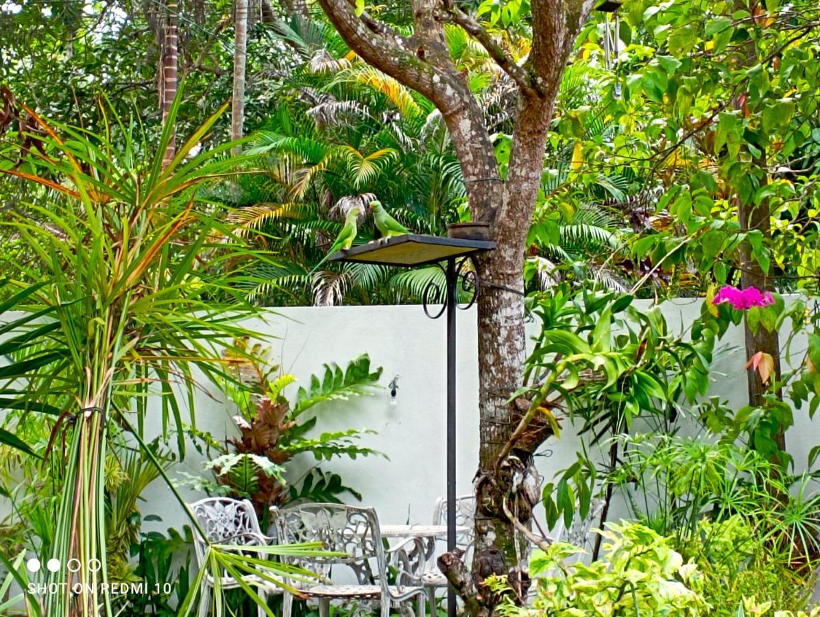 Olee Villa Bentota Exterior foto