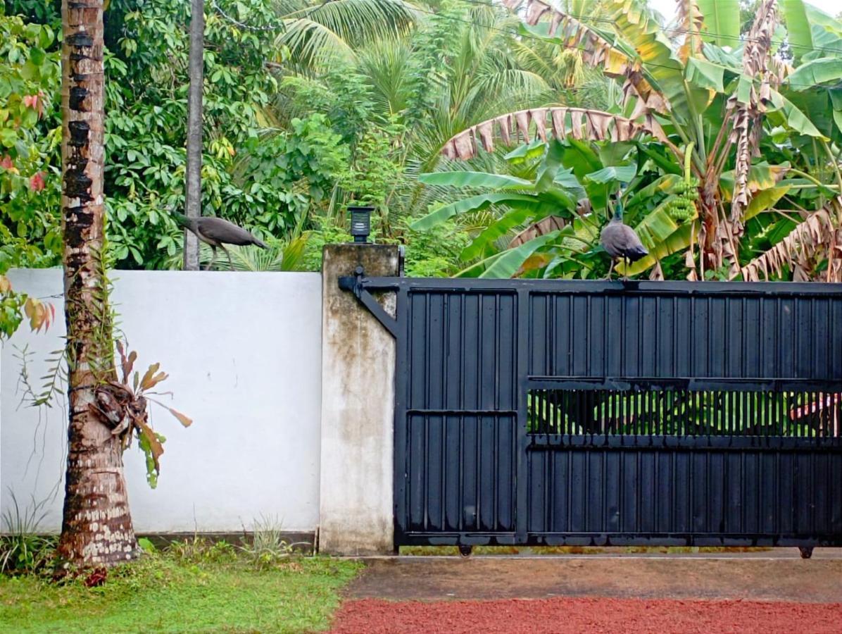 Olee Villa Bentota Exterior foto
